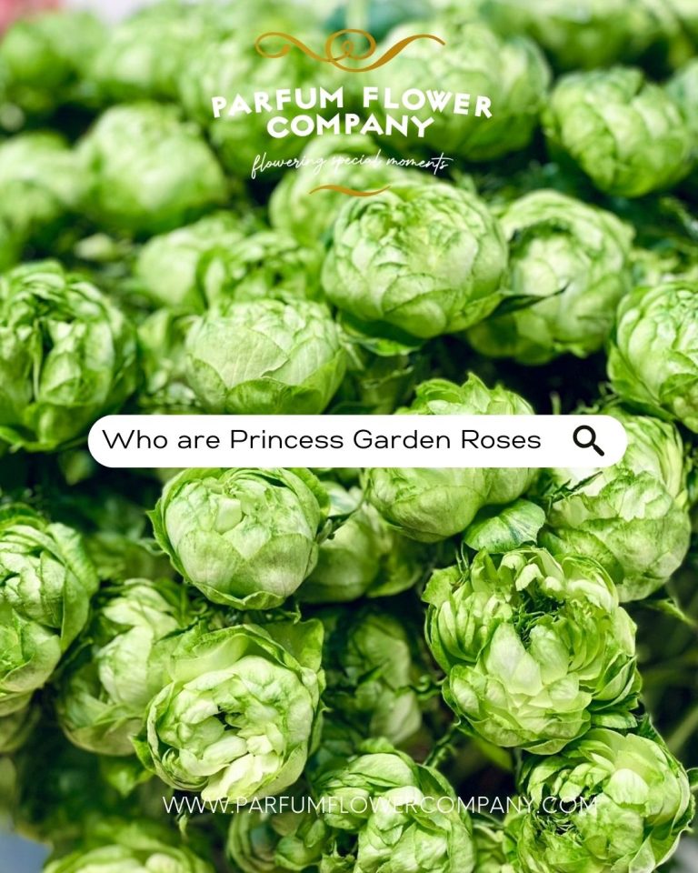 A Journey Of Scent Premium Roses Parfum Flower Company