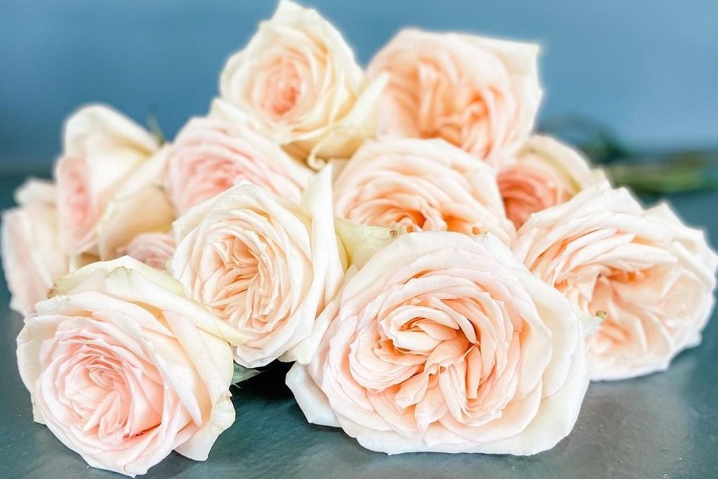 A Garden Bouquet with White O'Hara Roses And Beautiful Peach