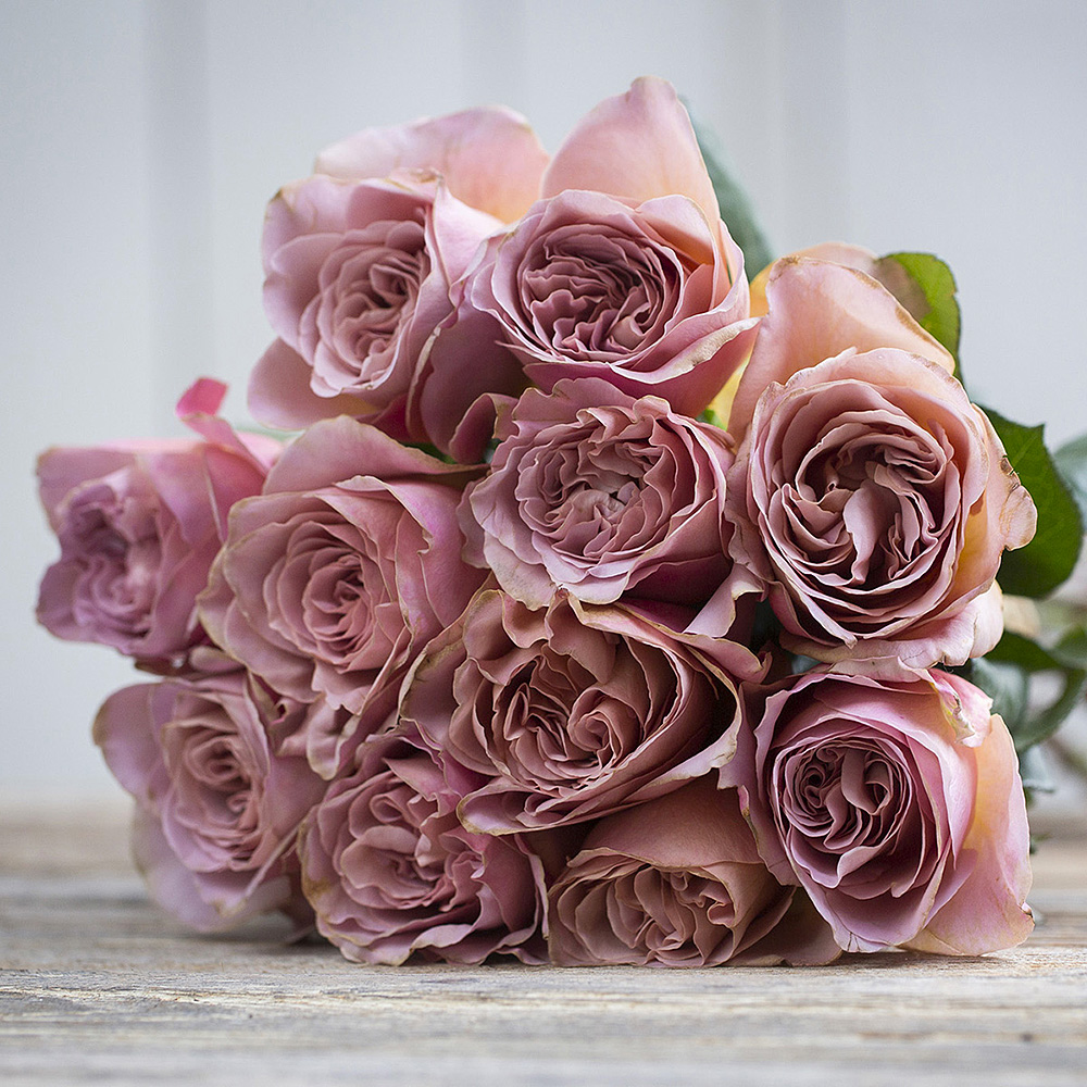 Café Latte rose in mocha, dusty mauve and taupe tones for autumn floral designs