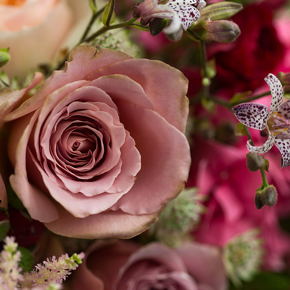 Our Top Five Roses for September Floral Designs
