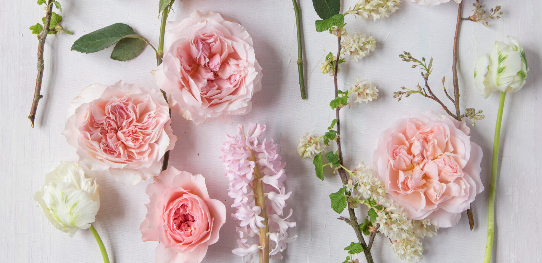Meet Ottilie and Ariadne, Two New David Austin Wedding Roses