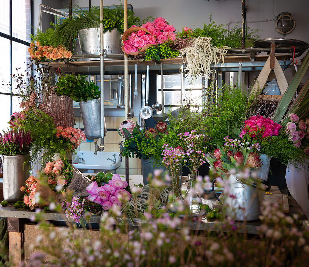 Garden roses for florists displayed in flower shop setting among other beautiful blooms