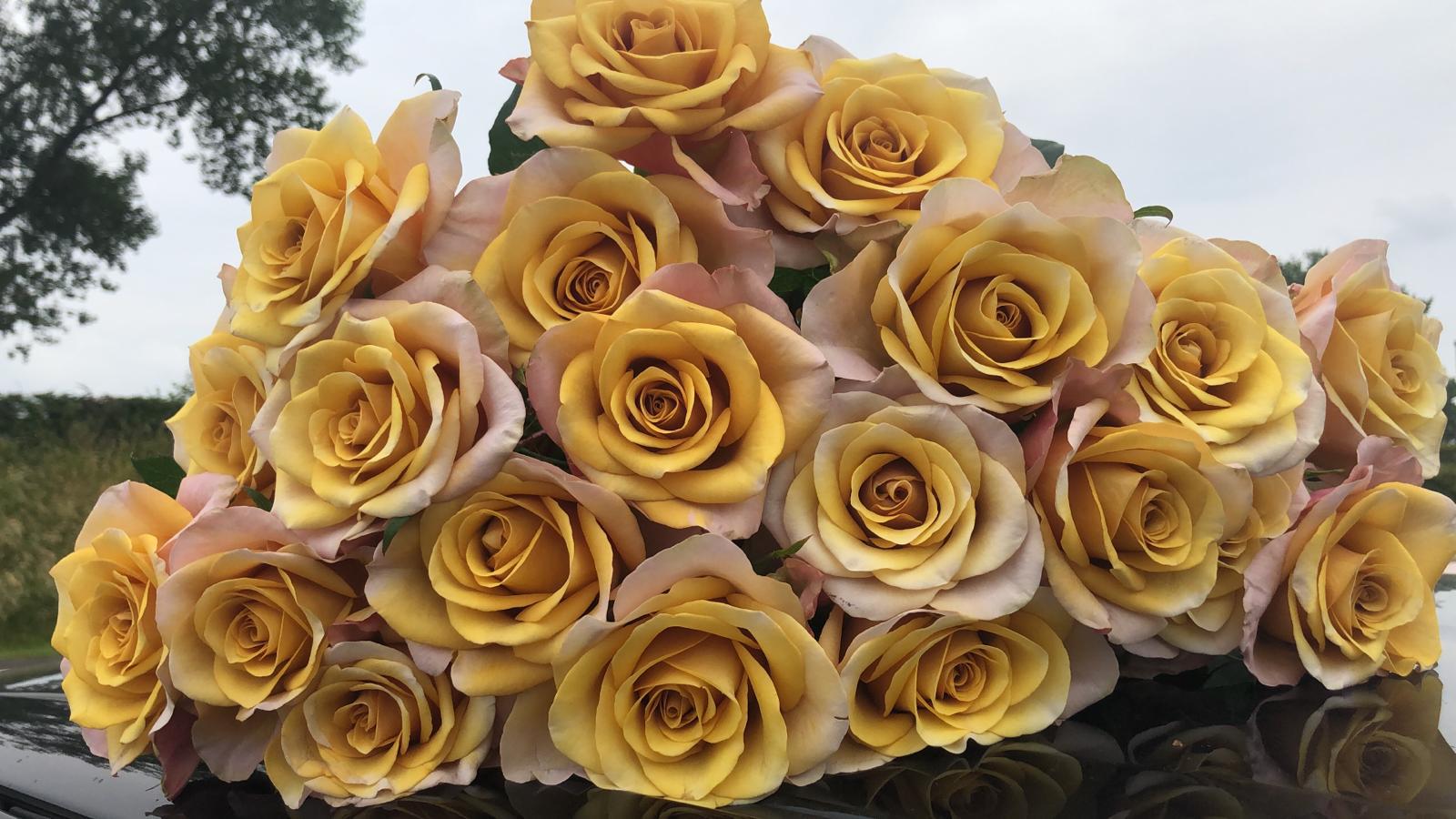 Golden garden roses for autumn weddings and floral designs